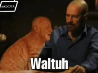 🌟 Walter White Breaking Bad Waltuh Breaking Bad, Уолтер Уайт, Уолтер, Сериал, Мем whatsapp sticker