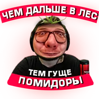 😦 ЧЕМ ДАЛЬШЕ В ЛЕС, ТЕМ ГУЩЕ ПОМИДОРЫ ruso, meme, tomate, gracioso, jerga telegram sticker