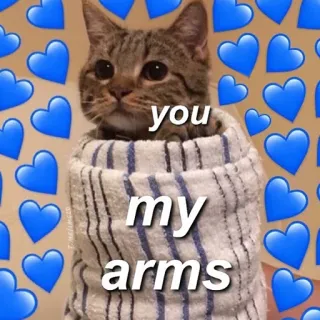 ❤️ you
my
arms chat, amour, câlin, coeurs, mignon, animaux telegram sticker
