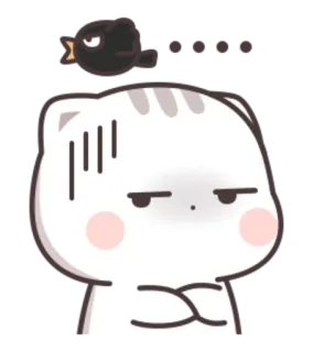 😒 kot, zły, zirytowany, słodki, zwierzę, wyraz, kreskówka telegram sticker