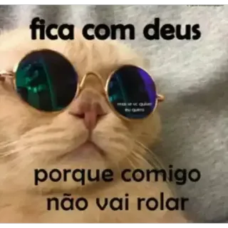 😎 fica com deus
porque comigo
não vai rolar кот, очки, мем, фраза, смешной telegram sticker