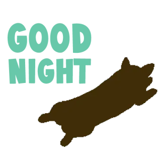🌙 telegram sticker