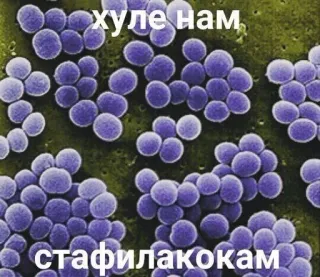 Больше стиков тут: @stikery4 telegram stickers