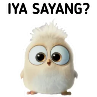 🙃 IYA SAYANG? pájaro, lindo, esponjoso, pregunta, amor telegram sticker