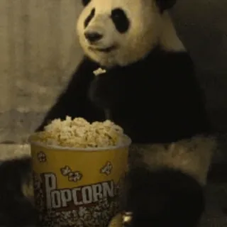 🍿 POPCORN panda, berondong jagung, hewan, makanan, ember, menonton whatsapp sticker