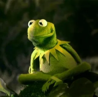 😍 Kermit Kermit la rana, Muppets, Rana, Meme telegram sticker