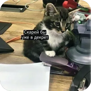 🫥 Скорей бы уже в декрет telegram sticker