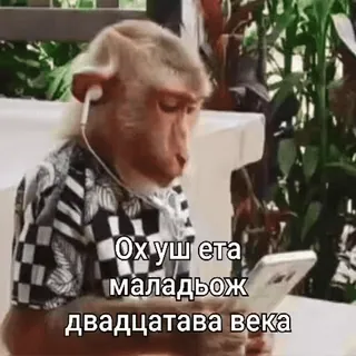 🐵 Ох уж эта маладьёж двадцатава века mono, auriculares, teléfono inteligente, generación, humor, ruso, animal whatsapp sticker
