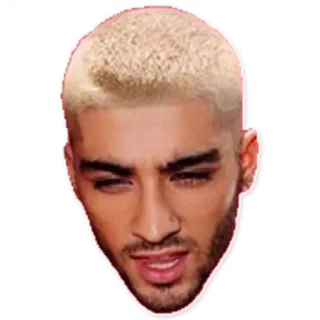 😤 Zayn Malik chanteur, célébrité, pop star, portrait telegram sticker