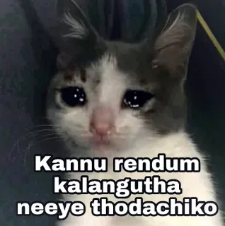 😂 Kannu rendum kalangutha neeye thodachiko gato, chorando, meme, triste, emocional telegram sticker
