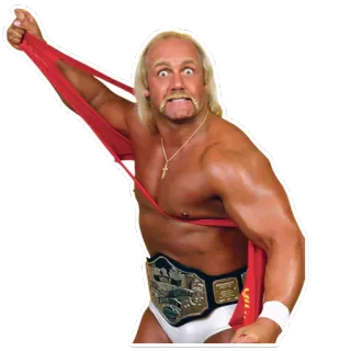 😠 Hulk Hogan Hulk Hogan, wrestler, wrestling, campione, WWE, sport telegram sticker