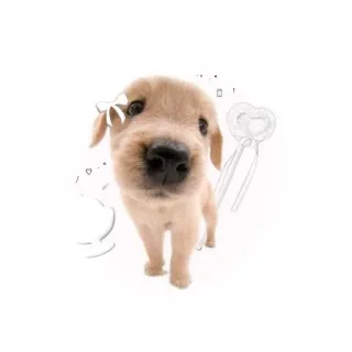 😛 anak anjing, anjing, hewan peliharaan, binatang, imut, pita telegram sticker