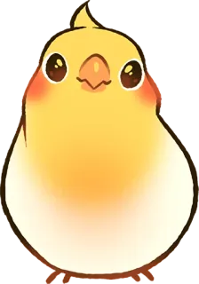 🙂 鳥, オカメインコ, かわいい, 動物, 黄色, ペット telegram sticker