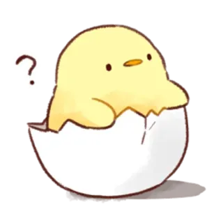 💛 ? ลูกไก่, เครื่องหมายคำถาม, ไข่, น่ารัก, สัตว์, นก telegram sticker