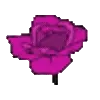 🌹