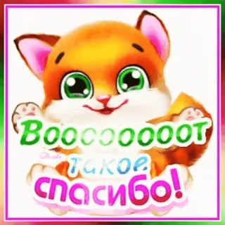 🙏 Booooooooot такое спасибо! gato, fofo, animal, gatinho telegram sticker