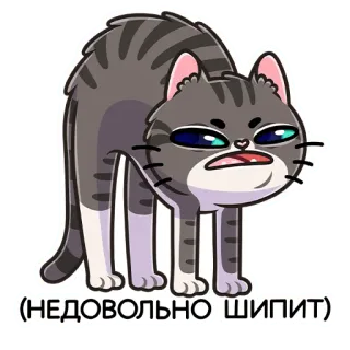 😡 (НЕДОВОЛЬНО ШИПИТ) kucing, mendesis, marah, sedih, rusia, stiker whatsapp sticker