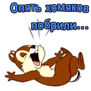 🐹 Опять хомяков побрили... whatsapp sticker