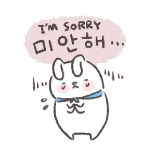 🐰 I'M SORRY
미안해... kelinci, maaf, permintaan maaf, imut, binatang telegram sticker