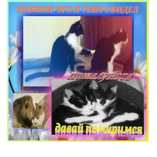 😥 извинии что я тебя обидел
пожалуиста
давай помиримся cats, apology, friendship, cute, animals telegram sticker