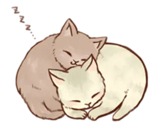 😴 chats, dormir, mignon, animaux, dessin animé telegram sticker