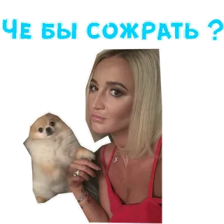 🍏 ЧЕ БЫ СОЖРАТЬ? cane, donna, domanda, cibo telegram sticker