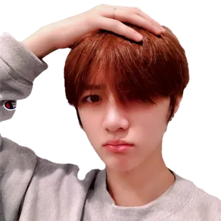 🤦‍♂️ telegram sticker