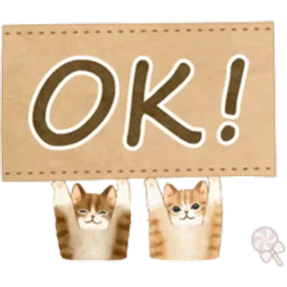 🐱 OK! gatos, ok, lindo, animales, signo whatsapp sticker