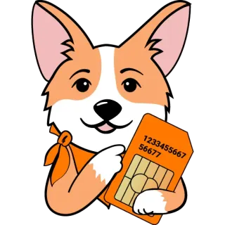 💳 1233455667
56677 cane, corgi, scheda SIM, arancia, numero telegram sticker