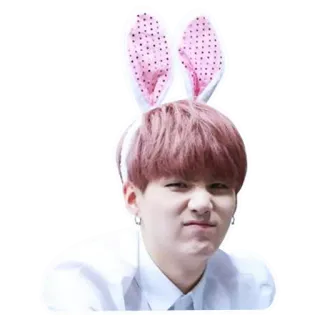 🐰 telegram sticker