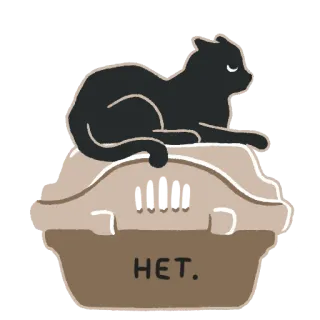 😑 HET. cat, russian, no, pet carrier, black cat whatsapp sticker