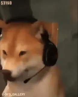 🎧 dog, shiba inu, headset, hat, gaming, video game whatsapp sticker