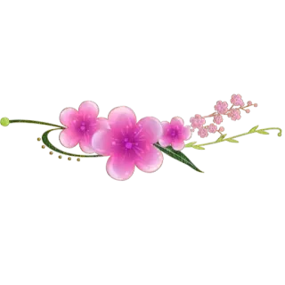 🌹 Blumen, rosa Blumen, Blumenmuster, Blüten, Frühling, Natur whatsapp sticker