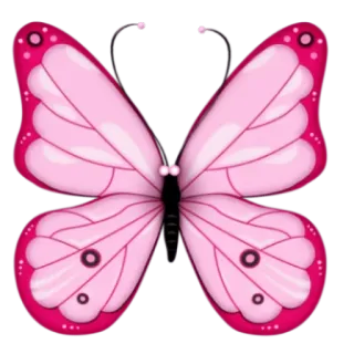🦋 vlinder, roze, insect, natuur, vleugels telegram sticker