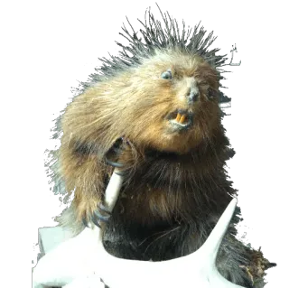 taxiderm telegram stickers