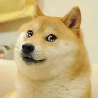 @Galaxial Two whatsapp stickers