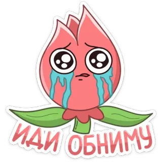 🤗 ИДИ ОБНИМУ flower, crying, sad, plant, sticker, cartoon, hug telegram sticker