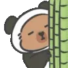 🐼