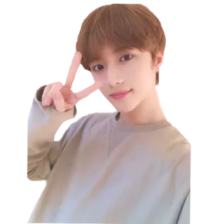 ✌️ uomo, persona, kpop, cantante, celebrità, asiatico telegram sticker