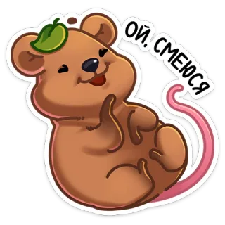 😃 Ой. Смеюся Quokka, Tier, glücklich, süß, Nagetier, lachend whatsapp sticker