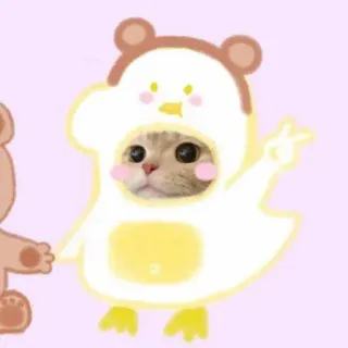 🌟 mèo, trang phục vịt, động vật, biểu tượng hòa bình, phim hoạt hình, dễ thương, kawaii telegram sticker