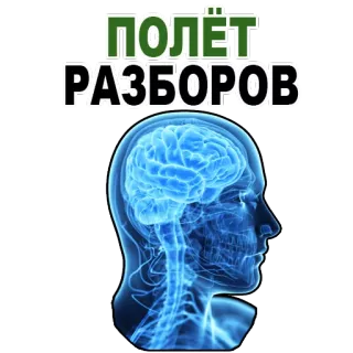 😉 ПОЛЁТ РАЗБОРОВ brain, thinking, mind, anatomy, science, russian telegram sticker