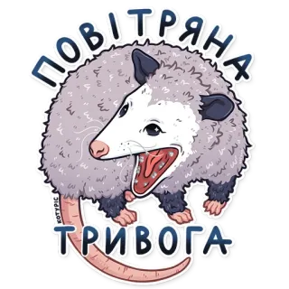 🅰️ ПОВІТРЯНА ТРИВОГА опоссум, авианалет, тревога, животное, предупреждение, опоссум, чрезвычайная ситуация whatsapp sticker