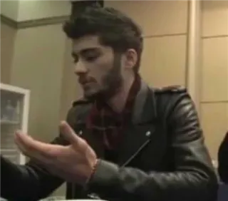 🐞 Zayn Malik 泽恩·马利克, 歌手, 名人, 人物, 肖像 telegram sticker