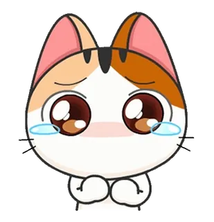 😢 mèo, buồn, khóc, emoji, sticker, dễ thương telegram sticker