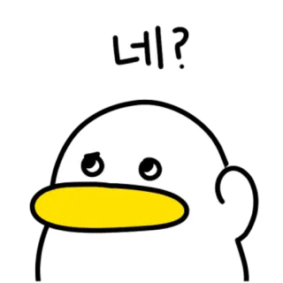 💬 네? 鸭子, 问题, 韩语, 困惑, 表情 telegram sticker