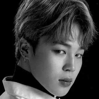 🌑 Jimin человек, K-pop, певец, корейский, мужчина, Чимин telegram sticker
