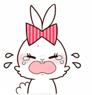 😭 coelho, chorando, triste, laço, desenho animado, adesivo telegram sticker