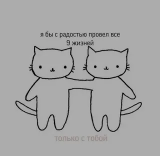 ❤️ я бы с радостью провел все 9 жизней только с тобой 猫, 愛, 友情, かわいい, ロシア telegram sticker