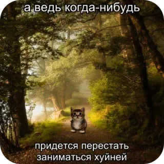 😭 а ведь когда-нибудь придется перестать заниматься хуйней cat, forest, meme, humor, nature, kitten, road whatsapp sticker